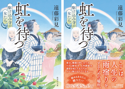 『虹を待つ〜駆け込み寺の女たち〜』書影